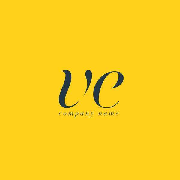 Шаблон логотипа VE Letters — стоковый вектор