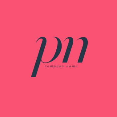 PN italik ortak harf Logo 