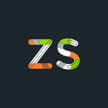 ZS harf Logo kartvizit