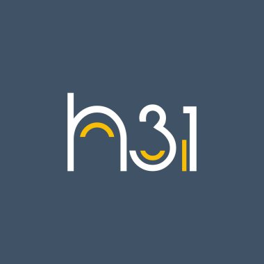 digital logosu H31 tasarımı