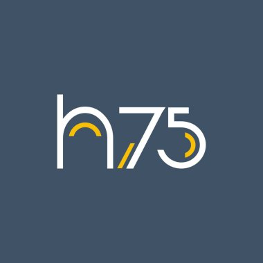 digital logosu H75 tasarımı