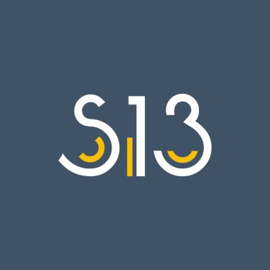 Tasarım dijital logosunun S13 