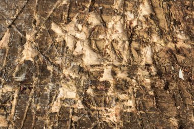 Vintage ahşap yüzey doku zarar