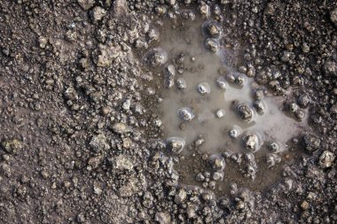 Islak ülke yoldan bir bahar kapatın