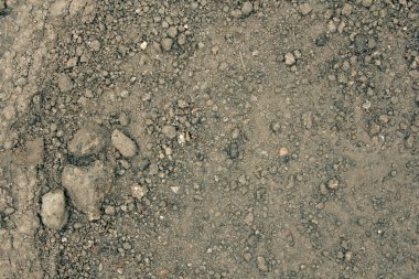 Islak taşlı toprak bir bahar kapatın