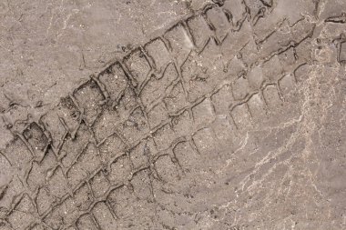 Islak bir çamurlu yolda lastik izleri