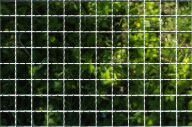 Trafiğe kapalı ızgara köprüsü üzerinde yeşil çimen