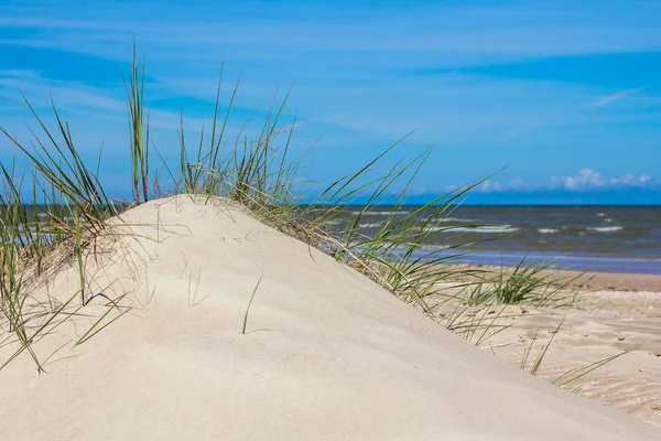 Písečné duny v Baltském moři — Stock fotografie
