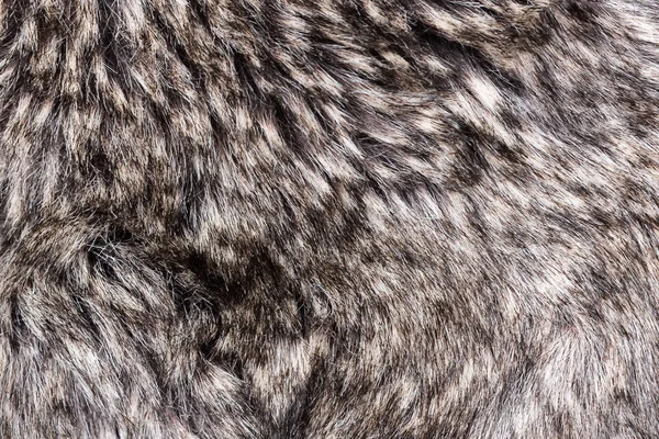 背景の灰色の毛皮 — ストック写真