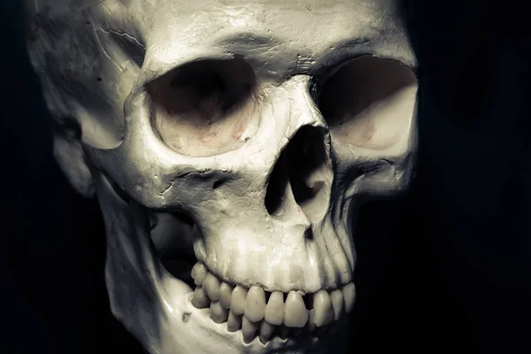 Ludzka czaszka na białym tle, koncepcja niebezpieczeństwo — Zdjęcie stockowe