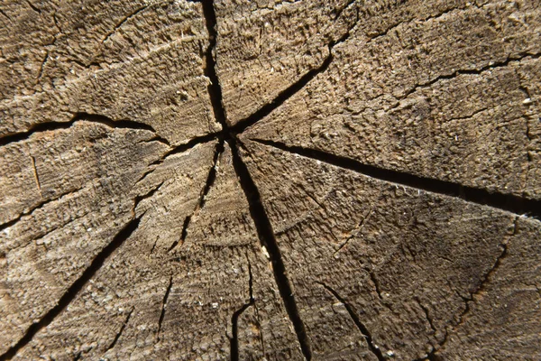 Тріснута середня секція деревини — стокове фото