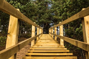 Çam ormanı Ogre Blue hills Park ahşap merdiven