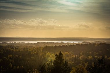 Sonbahar manzara, orman Ogre Blue hills PA günbatımı bir ışık