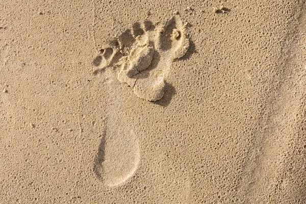 Emberi láb a nedves homok nyomtat — Stock Fotó