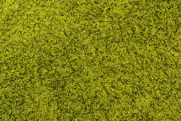 Green fluffy carpet floor texture