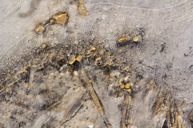 bir güneşli sabah erken baharda donmuş su birikintisi