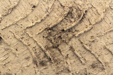 Islak bir çamurlu yolda lastik izleri