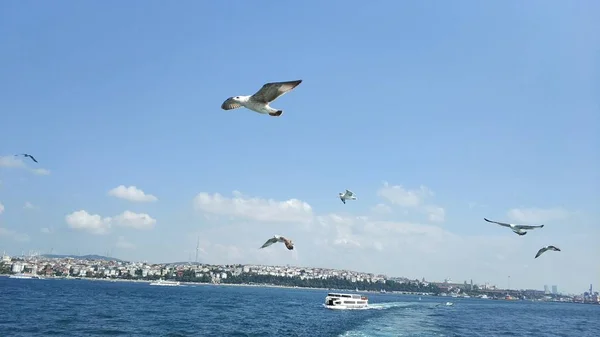 Bósforo Istambul Turquia Vista Barco — Fotografia de Stock