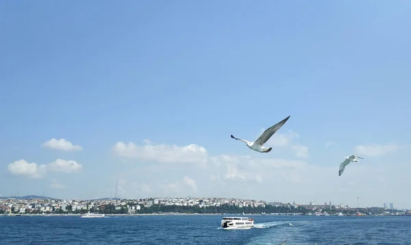 Bosforo Istanbul Turchia Vista Dalla Barca — Foto Stock