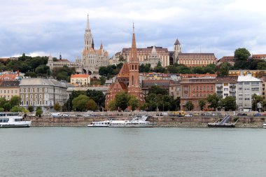 Buda bölge görünümünden haşere