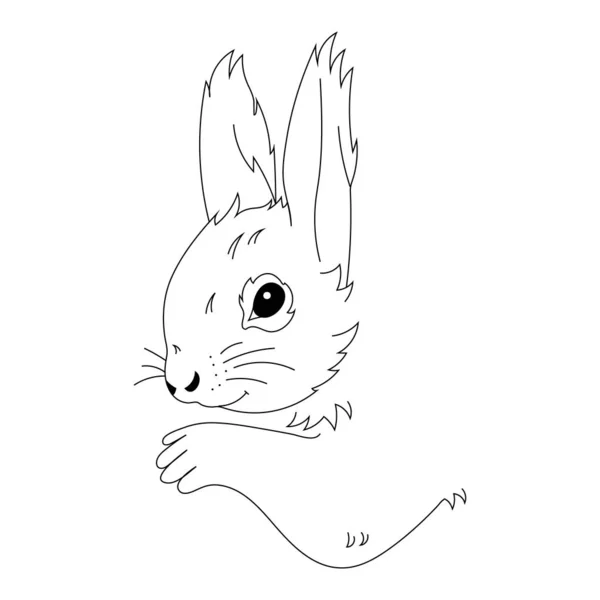 Vektorová ilustrace obrysu roztomilé veverky. Omalovánky pro děti. — Stockový vektor