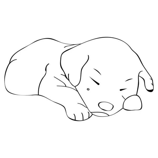 アウトラインに小さな子犬のベクトル画像 — ストックベクタ