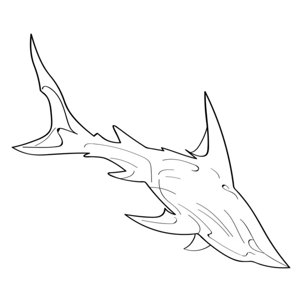 Imagen vectorial de un tiburón en contornos — Archivo Imágenes Vectoriales