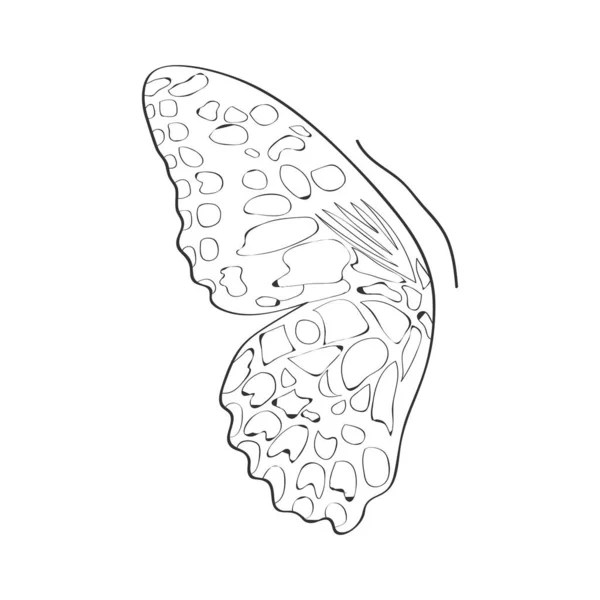 Vector afbeelding van vlinder vleugels in contouren — Stockvector