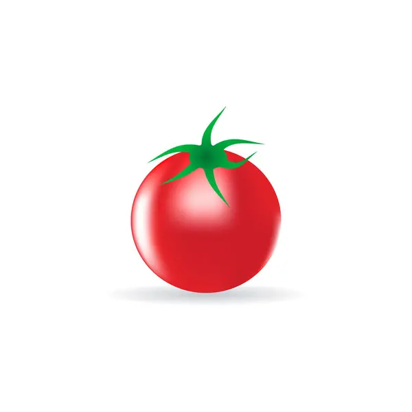从床上收集的现实番茄的矢量图像 — 图库矢量图片
