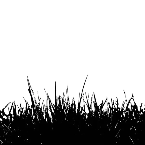 Beyaz arkaplan üzerinde çim siluet vektörü arkaplan