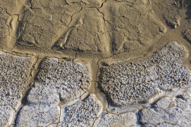 Kuru toprak, su olmadan kırık zemin.