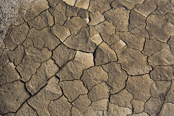 Tierra seca, suelo agrietado, sin agua . — Foto de Stock
