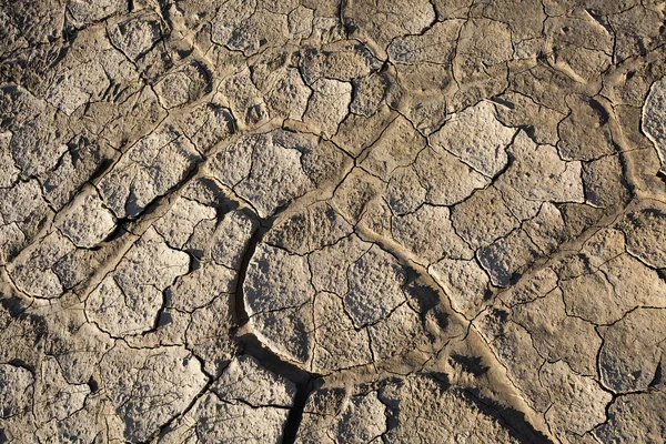 Dry land, cracked ground, without water. — Stock Photo, Image