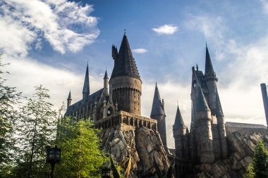 Harry Potter Dünyası