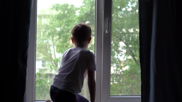 Chłopiec Jest Smutny Domu Psem Ponieważ Nie Można Wyjść Zewnątrz — Wideo stockowe