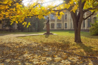 Kiev sonbahar park