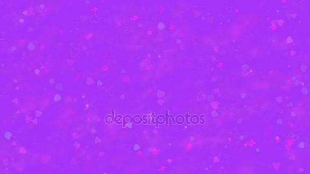 "I Love You" text in Polish "Kocham Cie" formed from dust and turns to dust horizontally on purple background — ストック動画