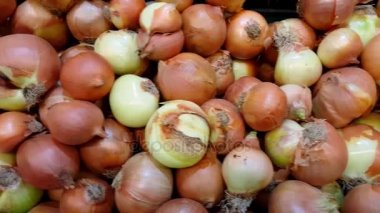 Büyük kahverengi soğan, pan hareket yığını
