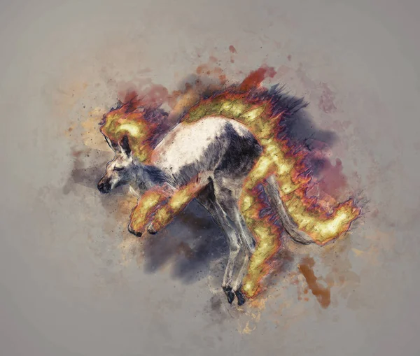 Illustration Burning Running Kangaroo — Stock Photo, Image