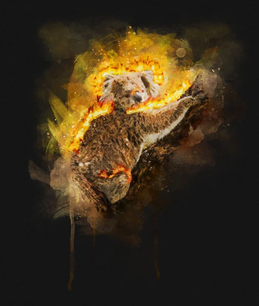 Illustratie van een brandende koala — Stockfoto