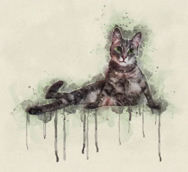 Акварельна Ілюстрація Сірого Кота Лежить Дивиться Бік — стокове фото