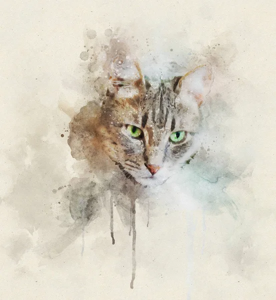 Acuarela Retrato Ilustración Gato Doméstico Gris Con Ojos Verdes — Foto de Stock