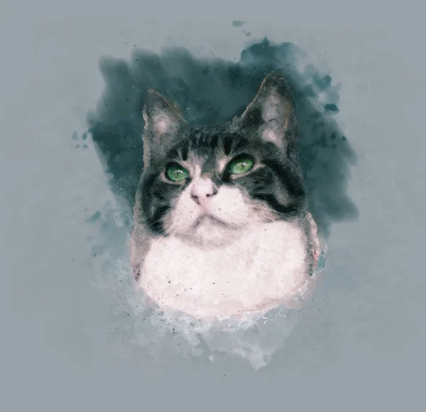 Illustration Portrait Aquarelle Chat Domestique Brun Blanc Aux Yeux Verts — Photo