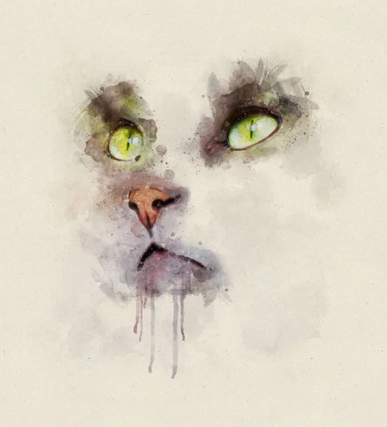 Watercolor Portrait Illustration Domestic Cat Green Eyes — Stock Photo, Image