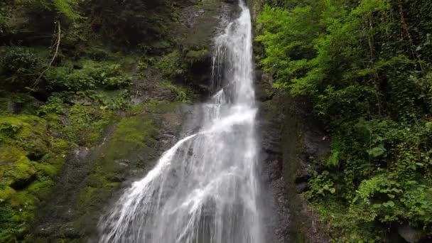 Hermosa cascada en la naturaleza verde — Vídeo de stock