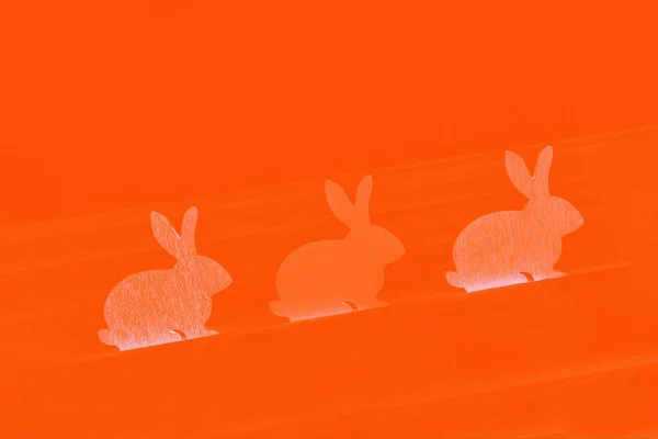 Tři oranžový gradient stoupá velikonoční zajíček na svěží lávové barvy abstraktní pozadí — Stock fotografie
