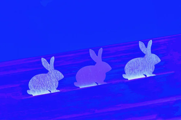 Tři fialové a bílé ošuntělé rostoucí velikonoční zajíček na živé modré barvě abstraktní pozadí — Stock fotografie