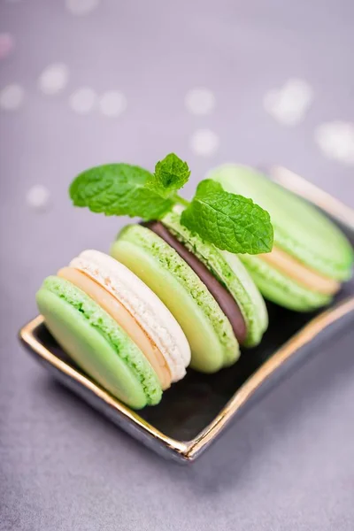 Macarons français faits maison ou macarons. Biscuits à la menthe au chocolat et à la crème vanille sur fond gris pâle, espace de copie — Photo