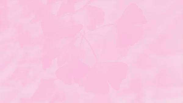 Přechod světle růžová barva s ginkgo biloba listy vzor, 16: 9 panoramatický formát — Stock fotografie