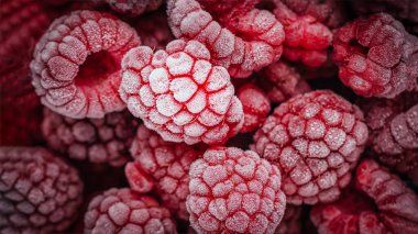 Red frozen raspberries background. Close up, berry background. 16:9 panoramic format